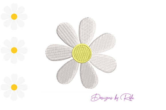 Daisy Flower Wildflower Filled